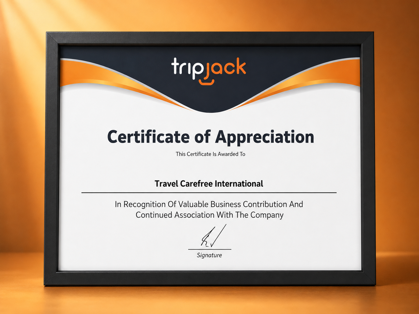 TripJack Certificate of Appreciation